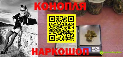 гидра Обь