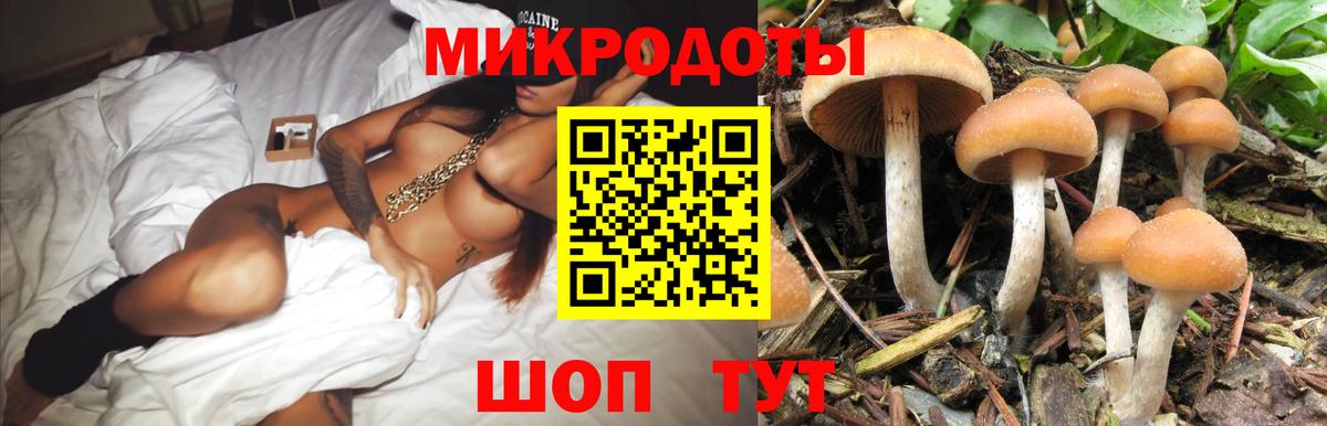 Чита  Галлюциногенные грибы Psilocybe  Вход с VPN 